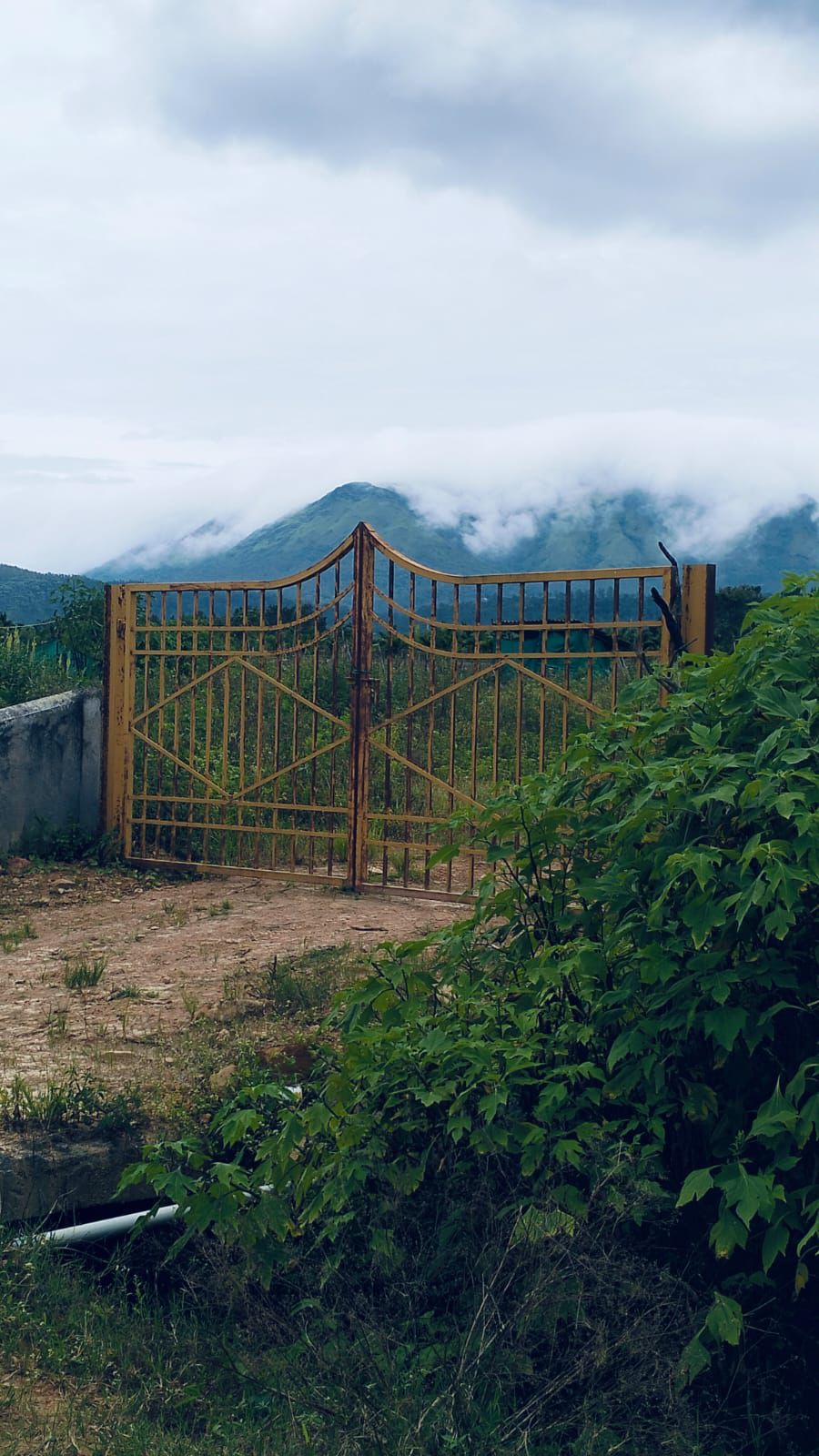 77 Gunta Land for Sale – Near Chikkamagaluru City